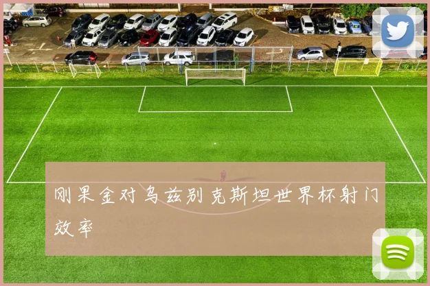 刚果金对乌兹别克斯坦世界杯射门效率