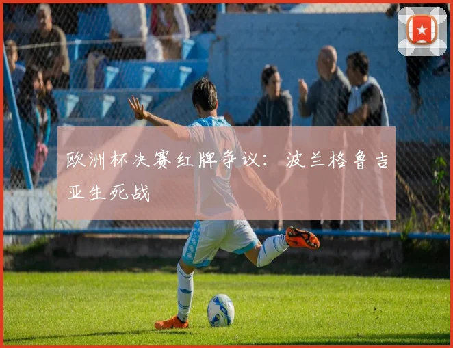 欧洲杯决赛红牌争议:波兰格鲁吉亚生死战