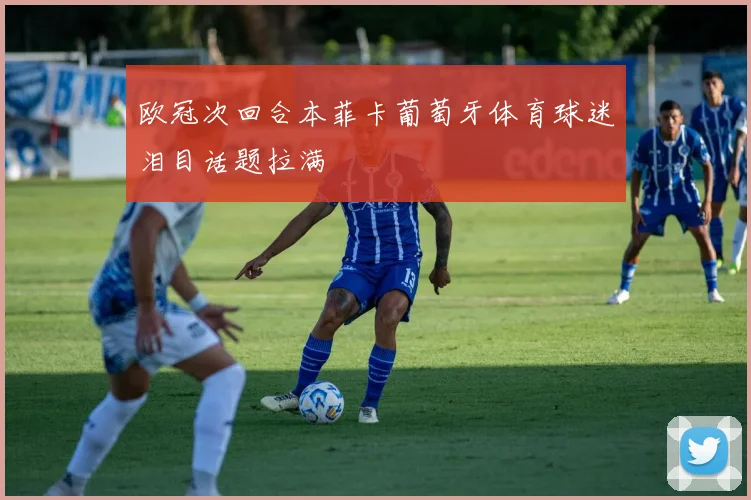 欧冠次回合本菲卡葡萄牙体育球迷泪目话题拉满