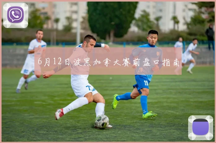 6月12日波黑加拿大赛前盘口指南