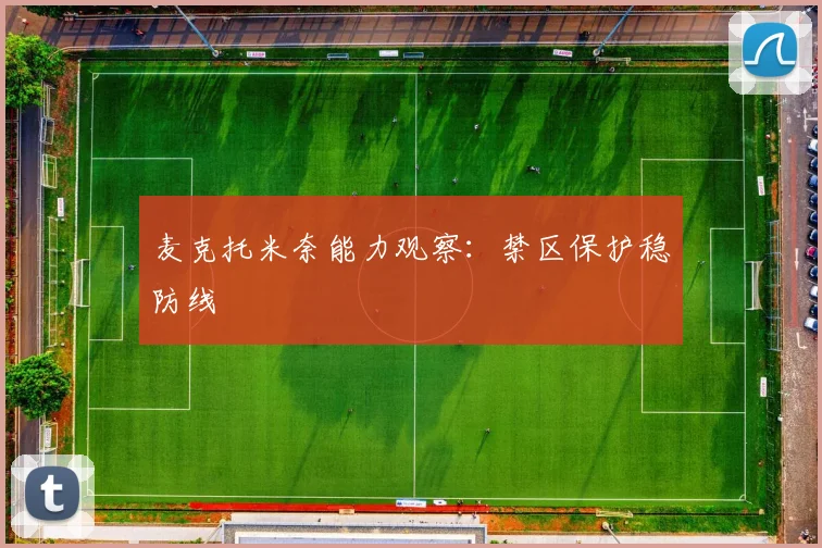 麦克托米奈能力观察：禁区保护稳防线