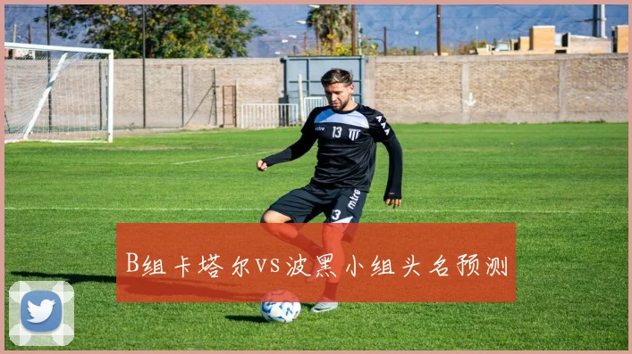 B组卡塔尔vs波黑小组头名预测