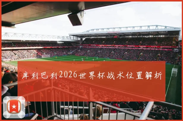 库利巴利2026世界杯战术位置解析