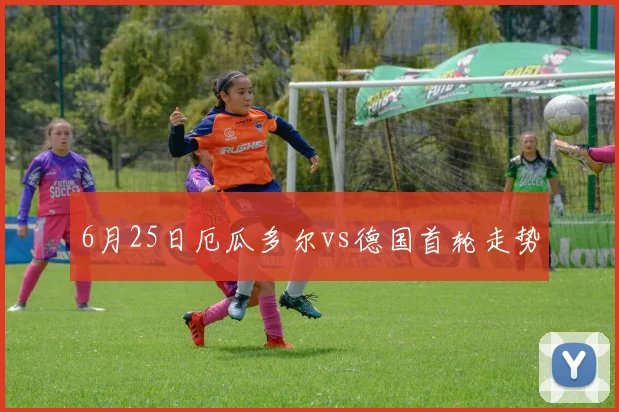 6月25日厄瓜多尔vs德国首轮走势