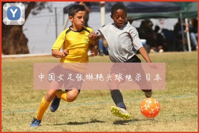 中国女足张琳艳头球绝杀日本